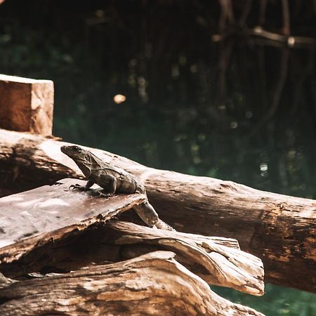 Uman Glamping & Cenote Tulum Hotel Luaran gambar