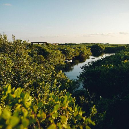 Uman Glamping & Cenote Tulum Hotel Luaran gambar