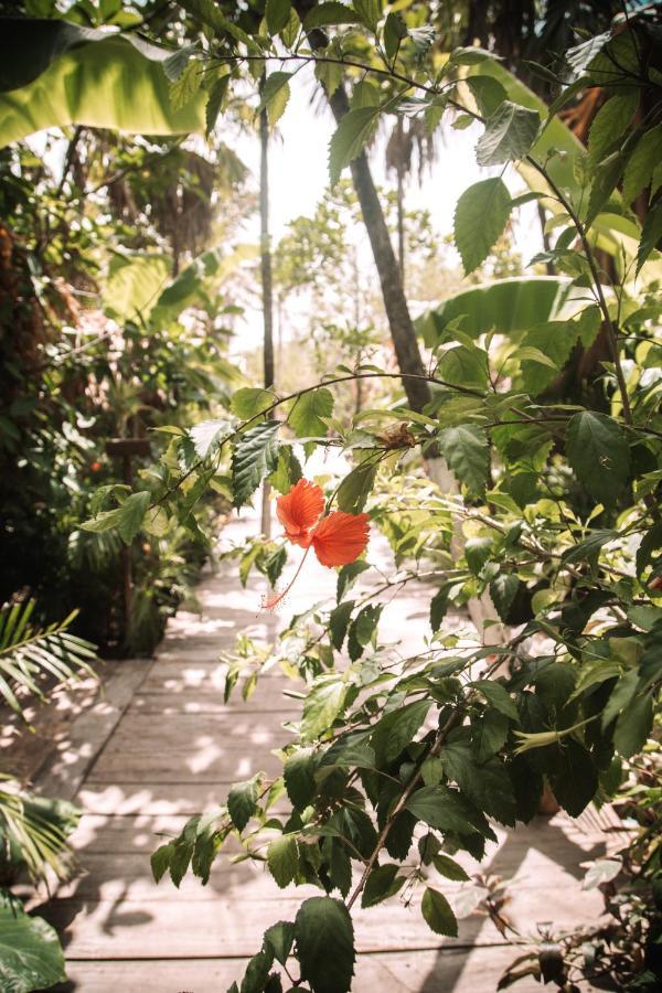 Uman Glamping & Cenote Tulum Hotel Luaran gambar
