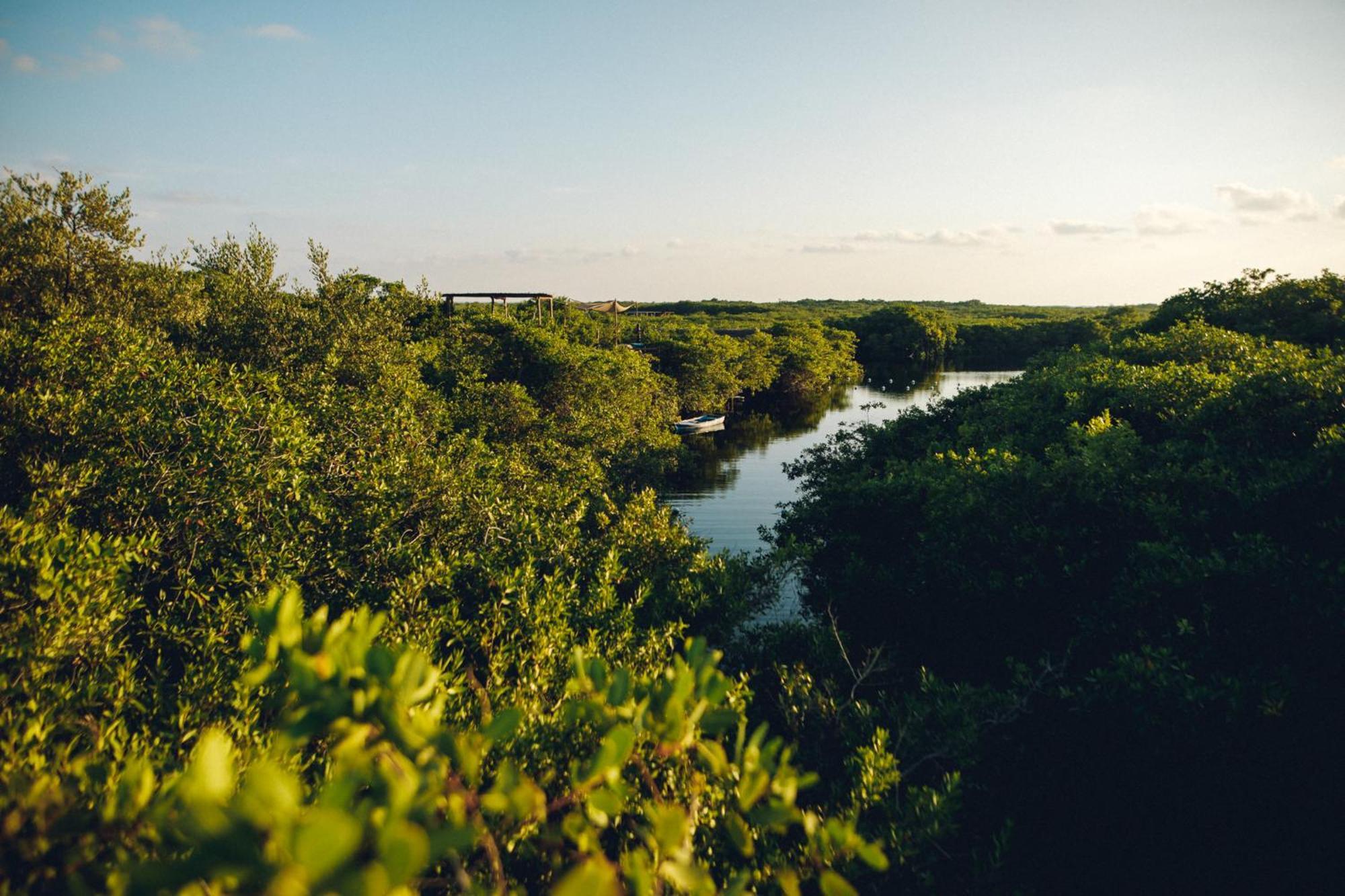 Uman Glamping & Cenote Tulum Hotel Luaran gambar